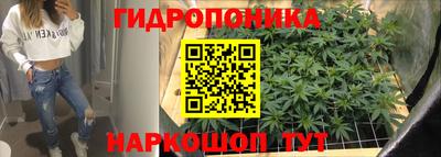скорость Бийск