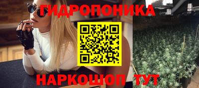 a pvp Берёзовский