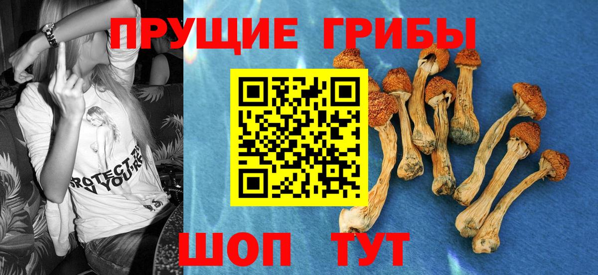 Псилоцибиновые грибы GOLDEN TEACHER Ковров